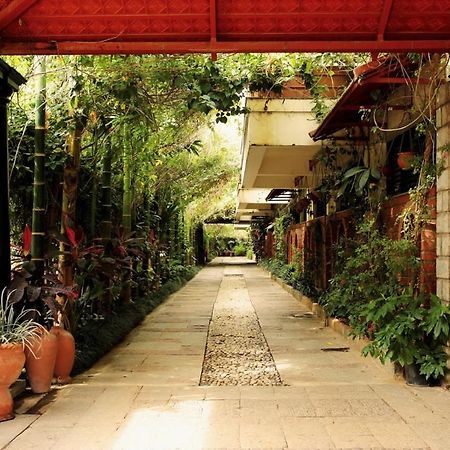 The Green Path Eco Hotel Bangalore Eksteriør bilde